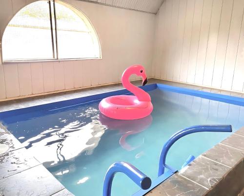 a swimming pool with a pink swan in the water at MM Family Resort Ijevan in Ijevan
