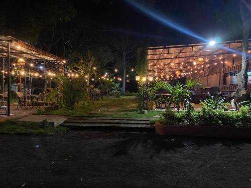 a building with lights on it at night at Nica Mango Tree Casa in Managua
