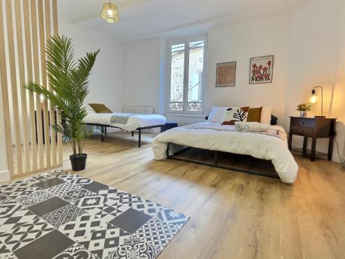 une chambre avec un lit et une plante en pot dans l'établissement Le saint Joseph - Hypercentre, à Tournon-sur-Rhône