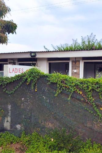a building with a wall covered in ivy at Shegadia Camp in Lotus Island