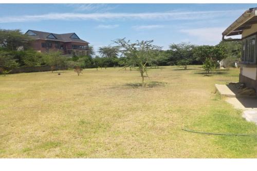 a yard with a tree in the middle of a house at Shegadia Camp in Lotus Island