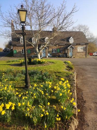a street light and flowers in front of a house at The Old Ford inn in Llanhamlach