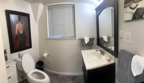 ein Badezimmer mit Toilette, Waschbecken und Spiegel in der Unterkunft Unique and Secluded Dome Getaway near Sacramento, California in Barton