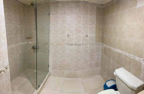 a bathroom with a shower and a toilet at Appartamento Albatros, Juan Dolio in Juan Dolio