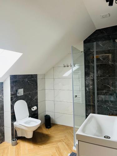 a bathroom with a toilet and a shower and a sink at Pod Katedrą in Drohiczyn nad Bugiem