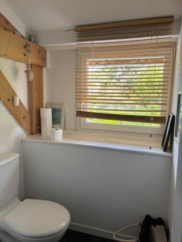 une salle de bain avec des toilettes blanches et une fenêtre dans l'établissement Maison 8 personnes avec piscine chauffée en Ardèche Safari Peaugres, à Roiffieux