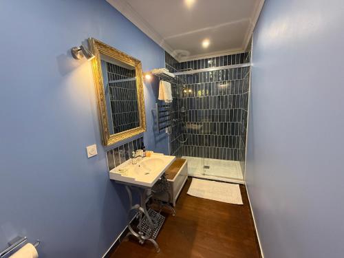 a bathroom with a sink and a shower at La Maison de Maître Chagnon Aumagne in Aumagne