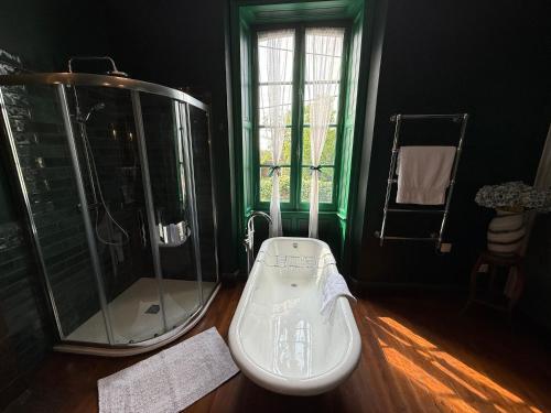 a bathroom with a shower and a toilet in it at La Maison de Maître Chagnon Aumagne in Aumagne