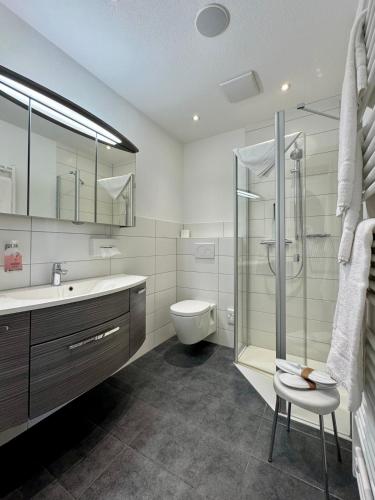 a bathroom with a toilet and a sink and a shower at Engelhard Das Landhotel Garni in Kirchheim am Ries