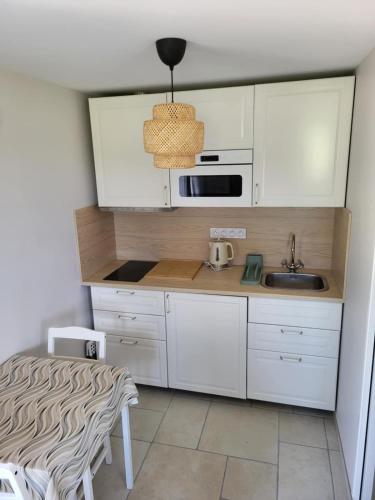 a small kitchen with white cabinets and a sink at L'Impasse du Jura in Ménétru-le-Vignoble