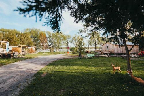 Φωτογραφία από το άλμπουμ του The Nest - Romantic Tiny Home with a Vintage Vibes, 10 mins to Winery σε Deseronto