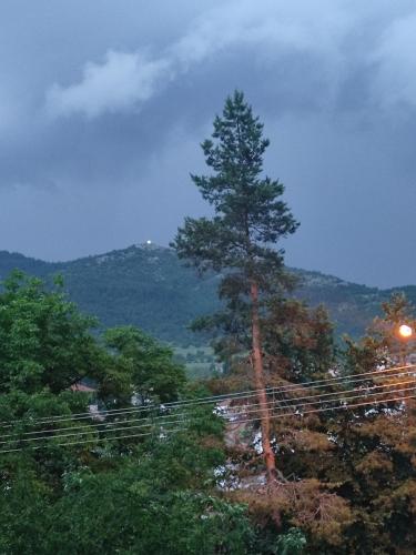 Galeriebild der Unterkunft Кулинарна къща за гости СОФРИЦА in Hvoyna