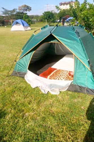 a green tent on the grass in a field at Shegadia Camp in Lotus Island