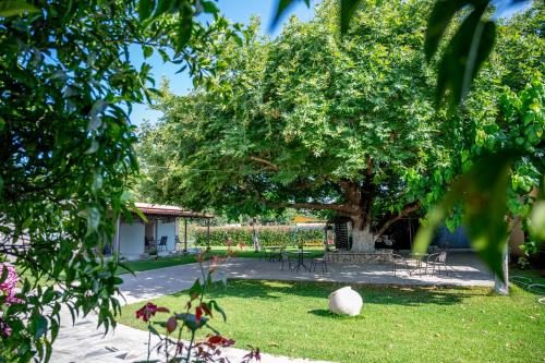 プレベザにあるParadisosの木の庭園