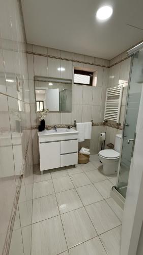a bathroom with a toilet and a sink and a shower at Casa de campo do Rojão do Meio in Mesão Frio