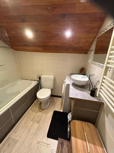une petite salle de bain avec toilettes et lavabo dans l'établissement Au pied du château T3, à Lourdes