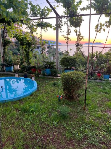 Ajni’s House