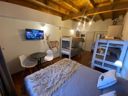 Gallery image of La Justina Hostel in San Carlos de Bariloche