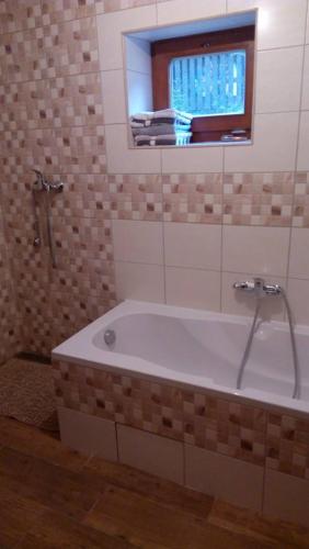 Ένα μπάνιο στο Apartmány Sharka -Šárka Justrová