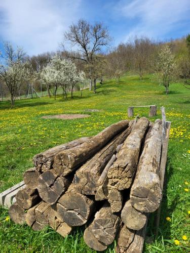 a pile of rocks sitting in a field at Bodónia Vendégház in Bodony