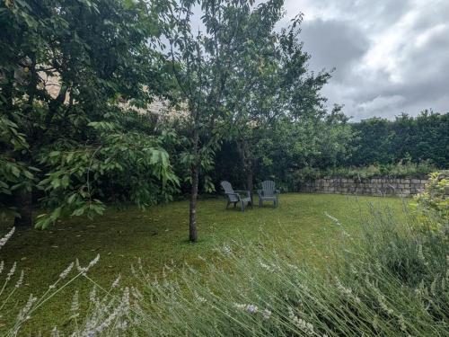 a tree and a chair in a yard at Au Saint-Amand in Poissons