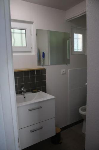 une salle de bain avec un lavabo et un miroir et des toilettes dans l'établissement Le Carrouge, à Lacapelle-Biron