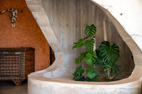 NguékokhにあるCasa del Toro Luxury Ranchのギャラリーの写真