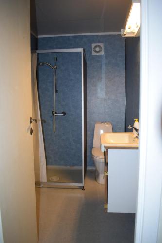 a bathroom with a shower and a toilet and a sink at Large house by nature reserve in Ystrebø