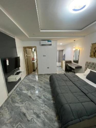 a bedroom with a large bed and a television at Grace court apartments in Alimosho
