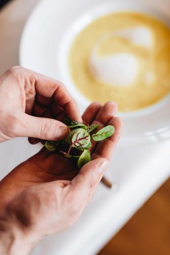 a person holding a plant in front of a cup of coffee at Aparthotel Hubertus Mellau in Mellau
