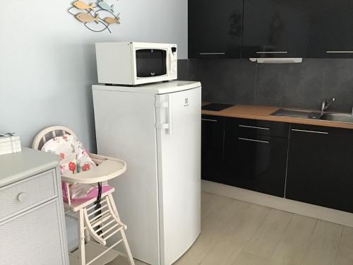 Il comprend une cuisine équipée d'un four micro-ondes et d'un réfrigérateur. dans l'établissement La petite girardiere, à Talmont-Saint-Hilaire