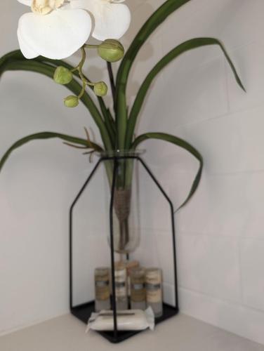 a glass vase with a white flower in it at Executive Studio in Vancouver
