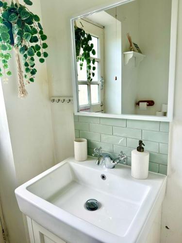 a bathroom with a white sink and a mirror at Gensing Garden Apartment in Hollington
