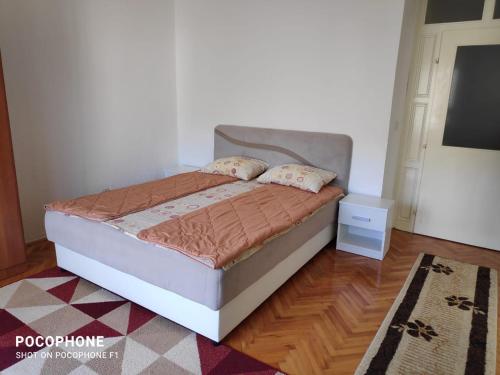 Apartment Viktoria