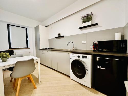 una cocina con lavadora y fregadero en Urban Nest Pipera, en Pipera