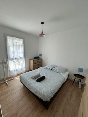 セットにあるAppartement T2 proche gare et centre villeのベッドと机と窓のある寝室