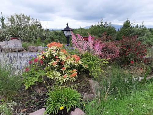 a garden with colorful flowers and a street light at Moynish Mor Mulranny in Westport