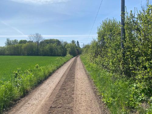 a dirt road in the middle of a field at PALEO House in Kristianstad