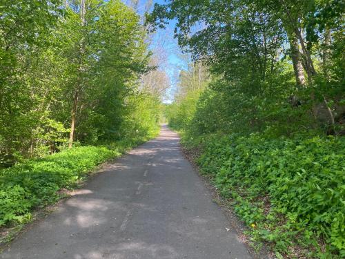 a dirt road with trees on both sides at PALEO House in Kristianstad