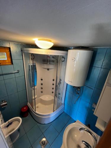 a bathroom with a shower and a sink and a toilet at Guest House Milena in Žabljak