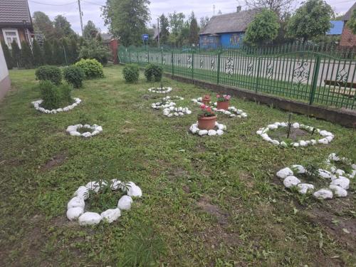 a garden with white flowers in the grass at Agroturystyka Przy Rajskim Sadzie in Nowy Berezów