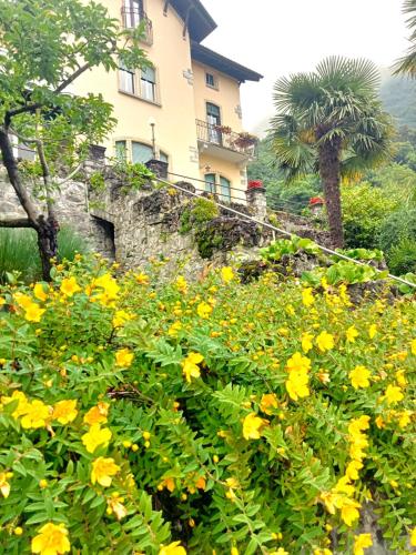 a house on a hill with yellow flowers at Villa Silvana in Perledo