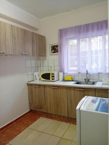 Kuchyň nebo kuchyňský kout v ubytování Cozy flat in Nea Makri