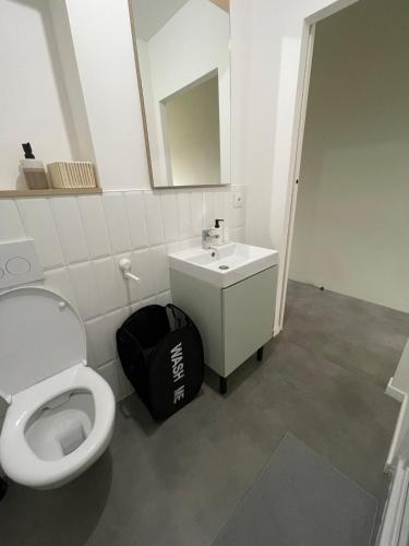 une salle de bain avec des toilettes blanches et un lavabo dans l'établissement Bright and peaceful studio with extendable bed, à Palaiseau