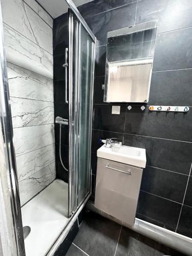 une salle de bain avec une douche, des toilettes et un lavabo dans l'établissement Belle Bellot appart 1 room Paris center, à Paris