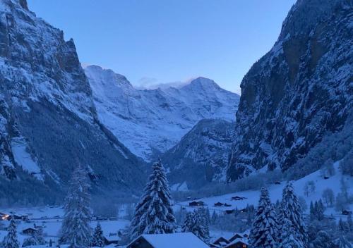 Schutzenbach Backpackers For Adults 18-32 years only photo 2