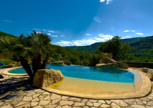 - une piscine avec un palmier et un rocher dans l'établissement Château de Tournou, à Castelreng