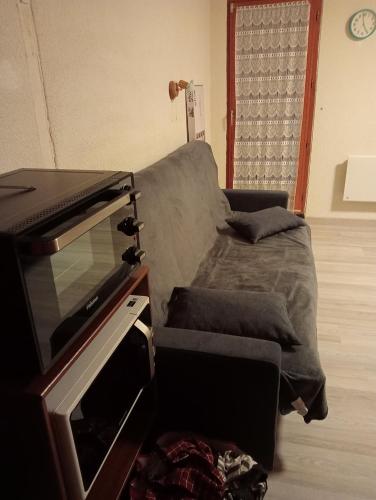 un salon avec un canapé et une télévision dans l'établissement Appartement BOIS D'AMONT, à Bois-dʼAmont