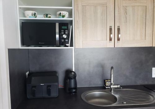 Una encimera de cocina con fregadero y microondas. en RÉSID'AZUR APPARTEMENT T2-PMR- Piscine privée, en Saint-Jean-de-Monts