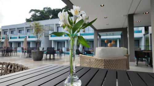 a vase filled with white flowers sitting on a table at Collegare Hotel in Capitólio